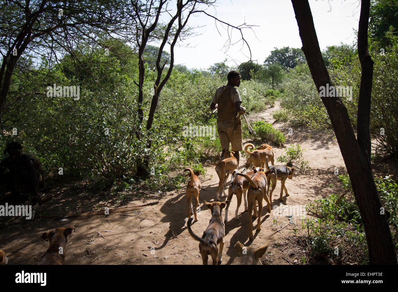 Hadzabe uomo voce fuori sulla caccia con i suoi cani. Foto Stock