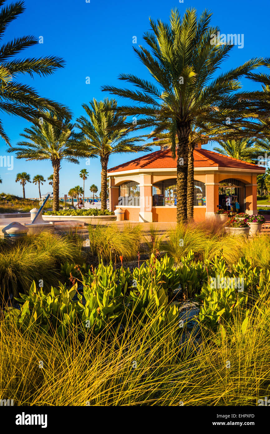 Alberi di palma e il pavilion in Clearwater Beach, Florida. Foto Stock