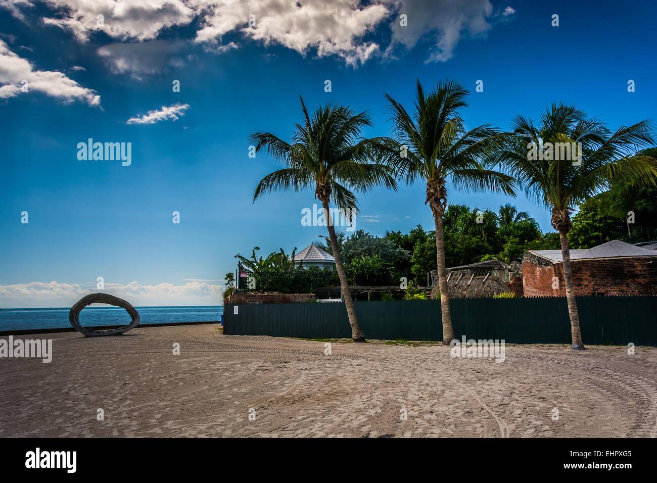 Le palme a bosone di Higgs Beach, a Key West, Florida. Foto Stock