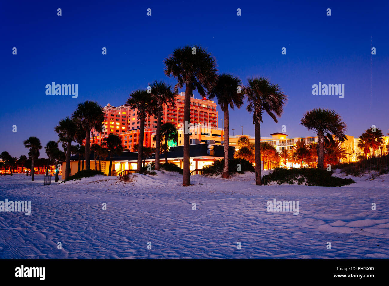 Palme sulla spiaggia di notte in Clearwater Beach, Florida. Foto Stock
