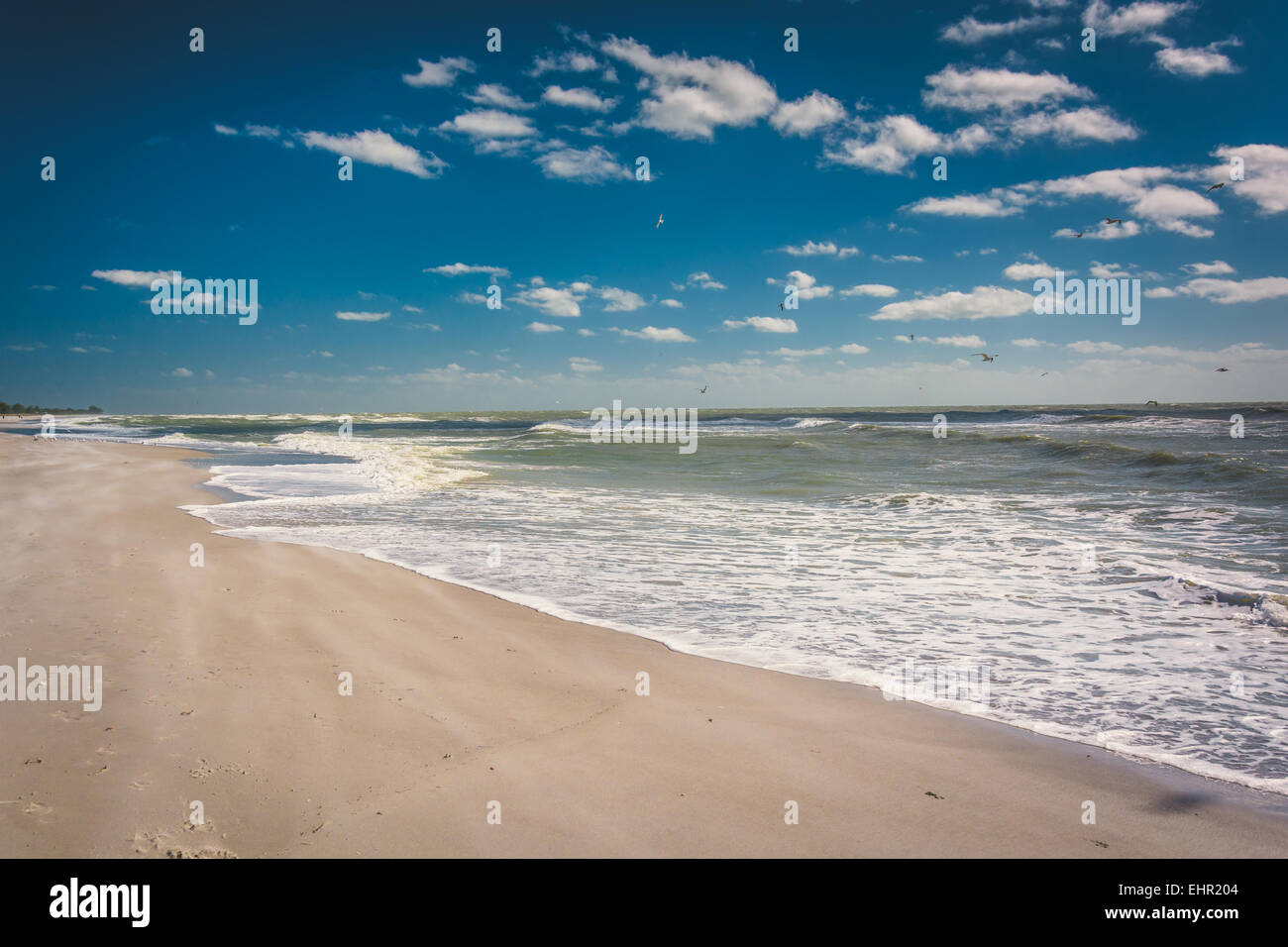 La spiaggia di Sanibel, Florida. Foto Stock