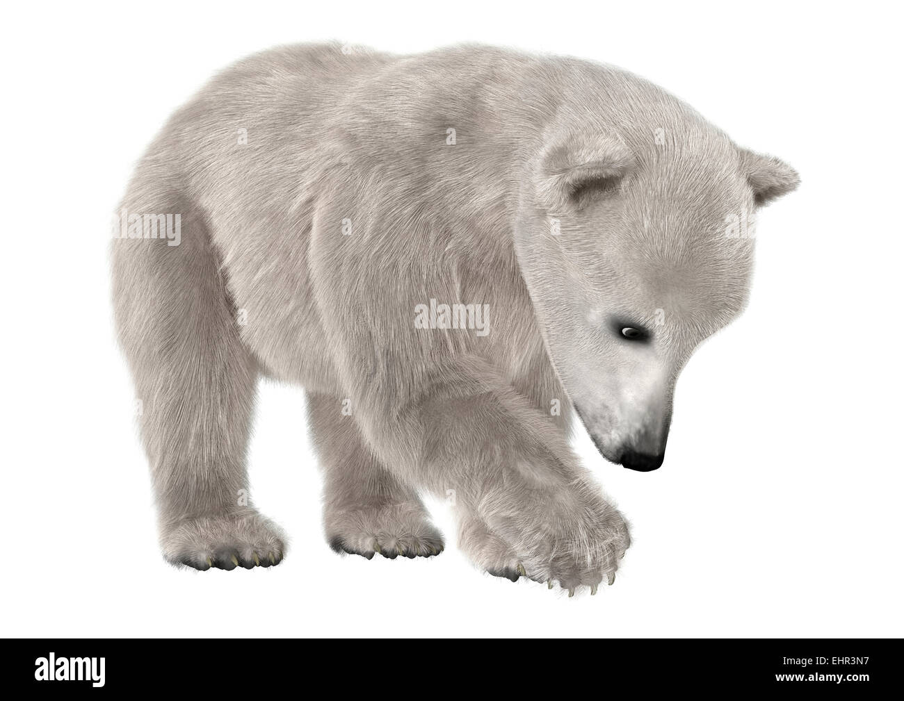 3D render digitale di un simpatico orso polare isolato su sfondo bianco Foto Stock