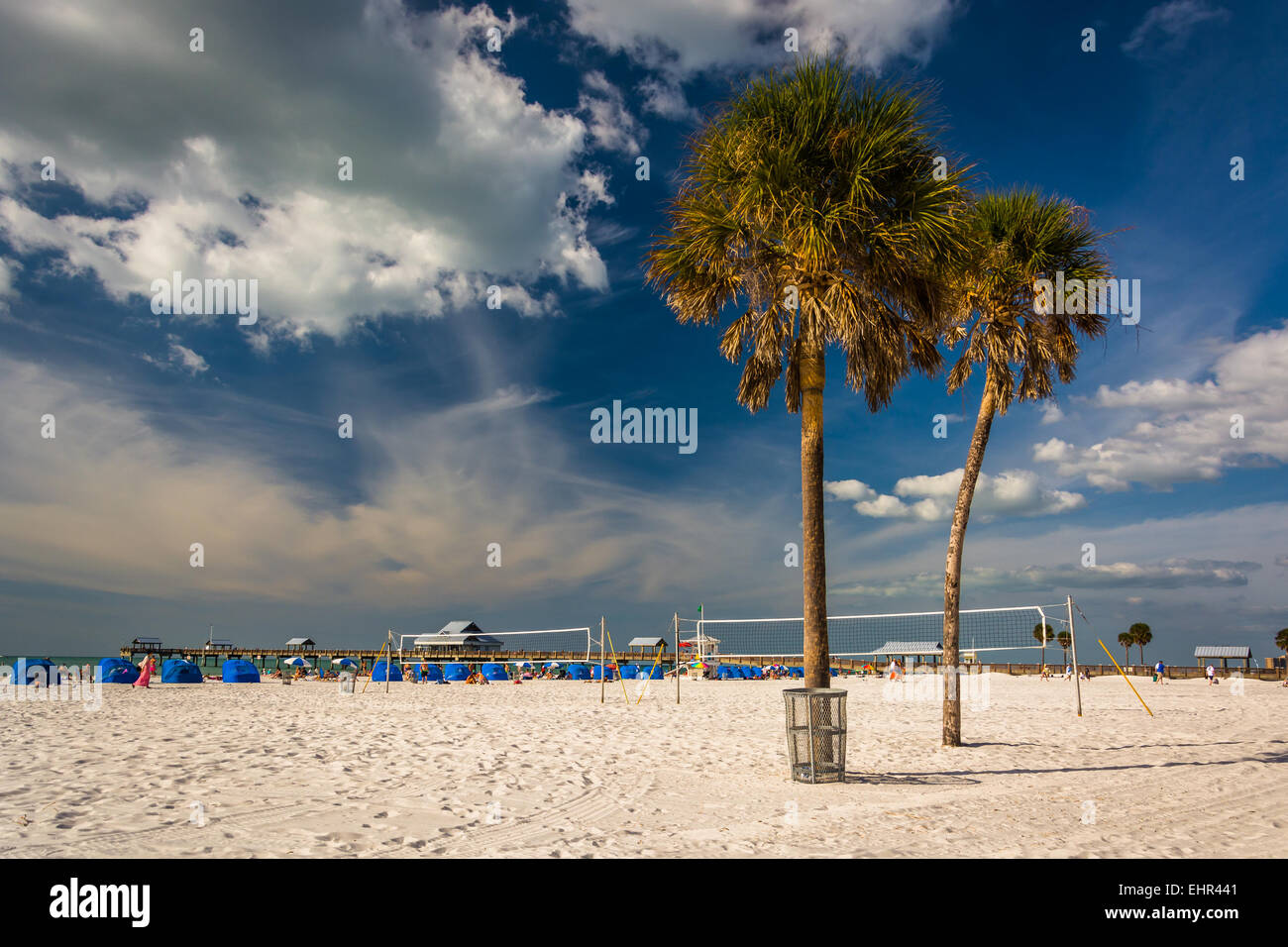 Le palme sulla spiaggia in Clearwater Beach, Florida. Foto Stock