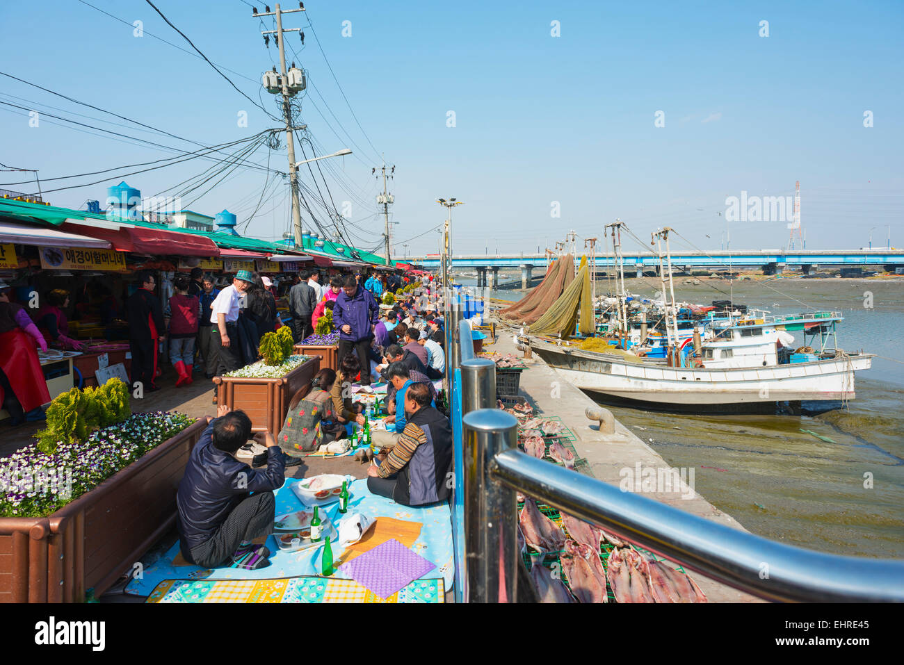 Asia, Repubblica di Corea, Corea del Sud, Incheon mercato del pesce Foto Stock