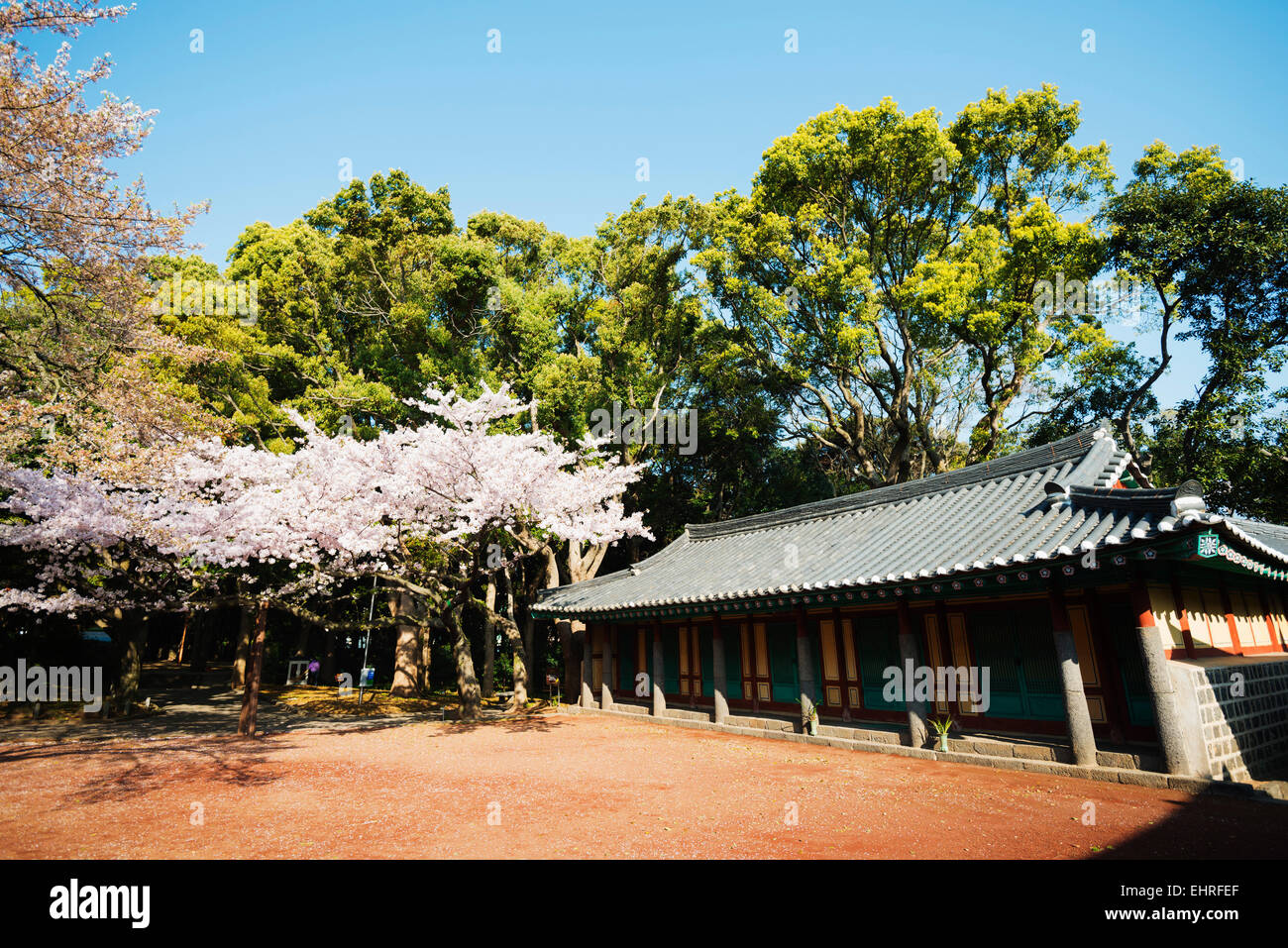 Asia, Repubblica di Corea, Corea del Sud, Jeju Island, Jeju City, Samseonghyeol Santuario - clan tre fori dei padri fondatori di Foto Stock