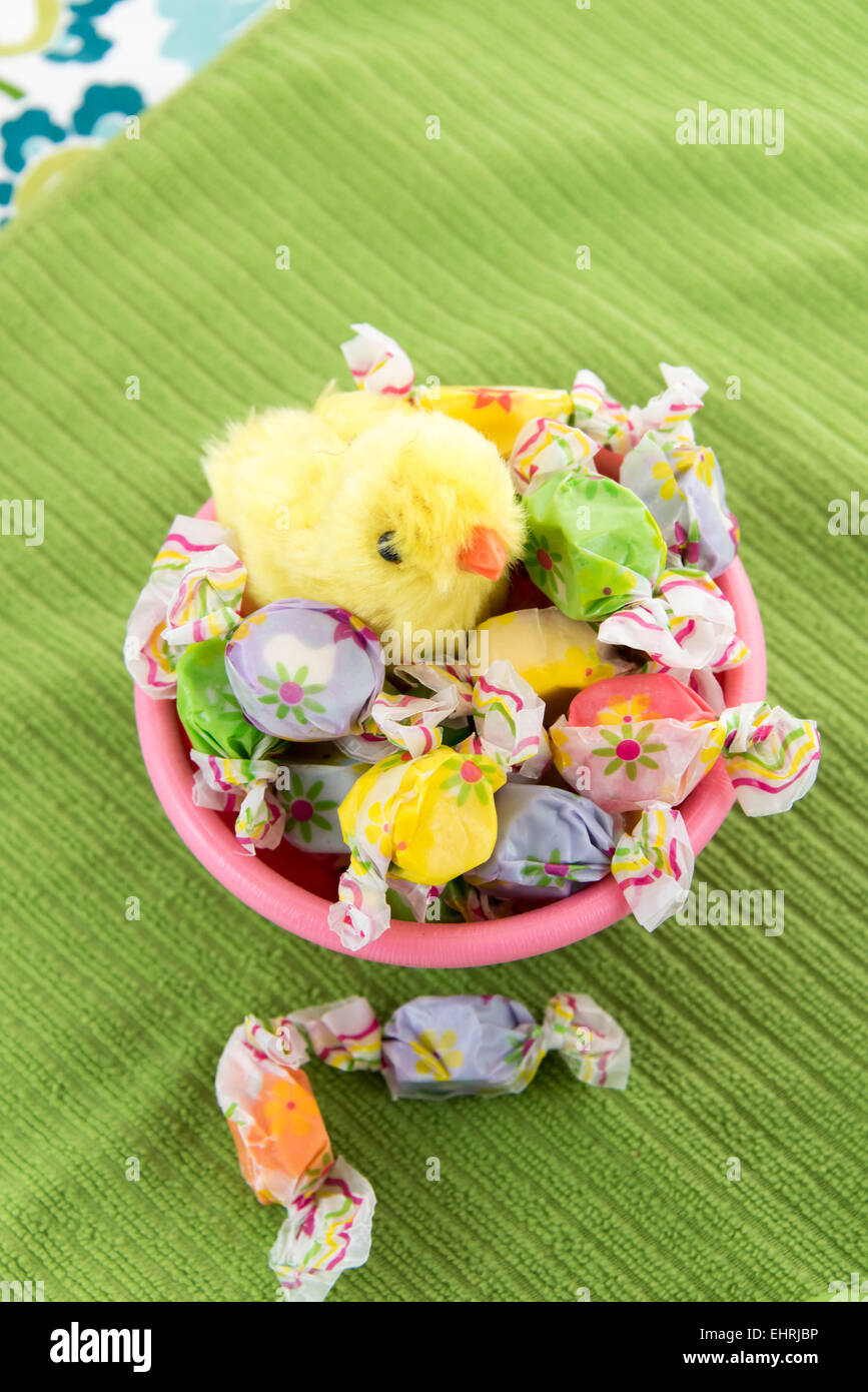 A molla giallo pulcino di pasqua in una ciotola rosa di candy Foto Stock