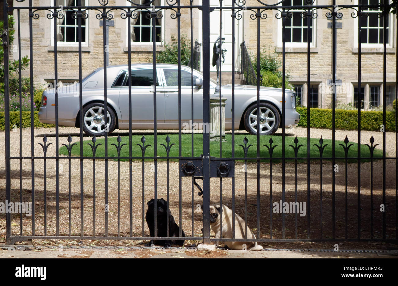 Due pugs seduta per le porte della loro casa Foto Stock