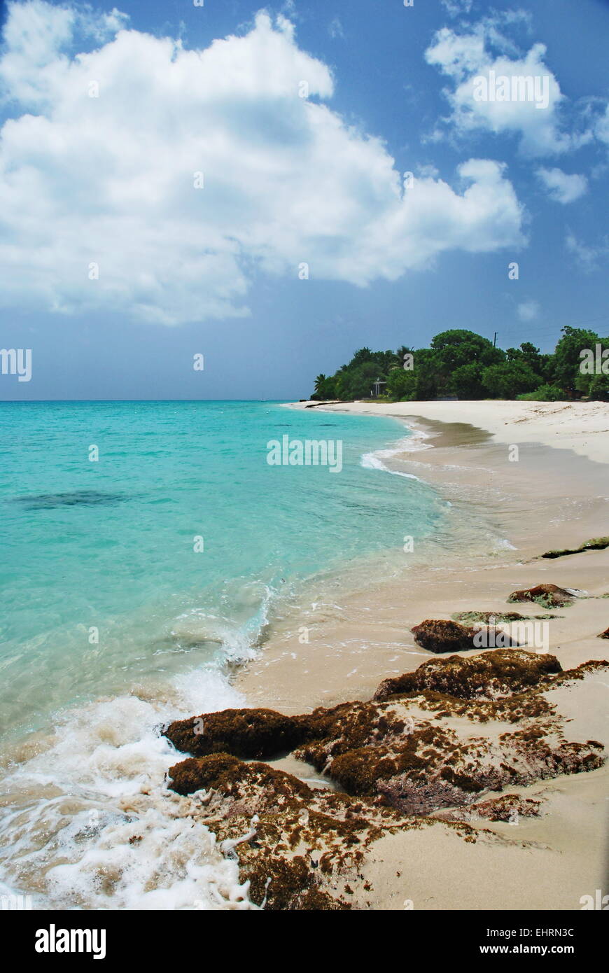 Luminosa giornata di sole in spiaggia con rocce e mare turchino dei Caraibi sulla isola di St. Croix, Isole Vergini americane. Foto Stock