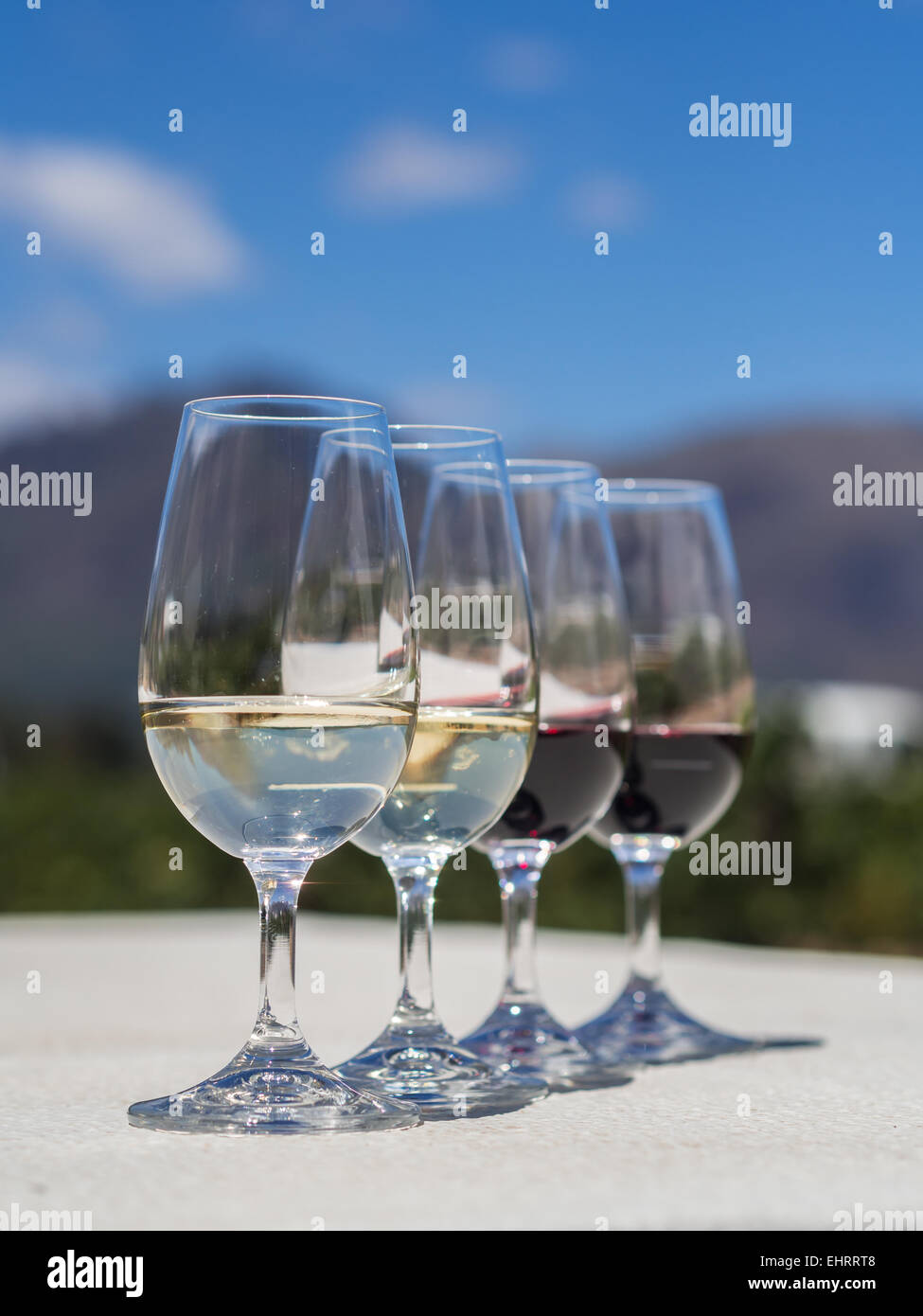 Quattro bicchieri, due con rosso e due con i vini bianchi serviti per la degustazione in una delle cantine Winelands, Sud Africa. Foto Stock