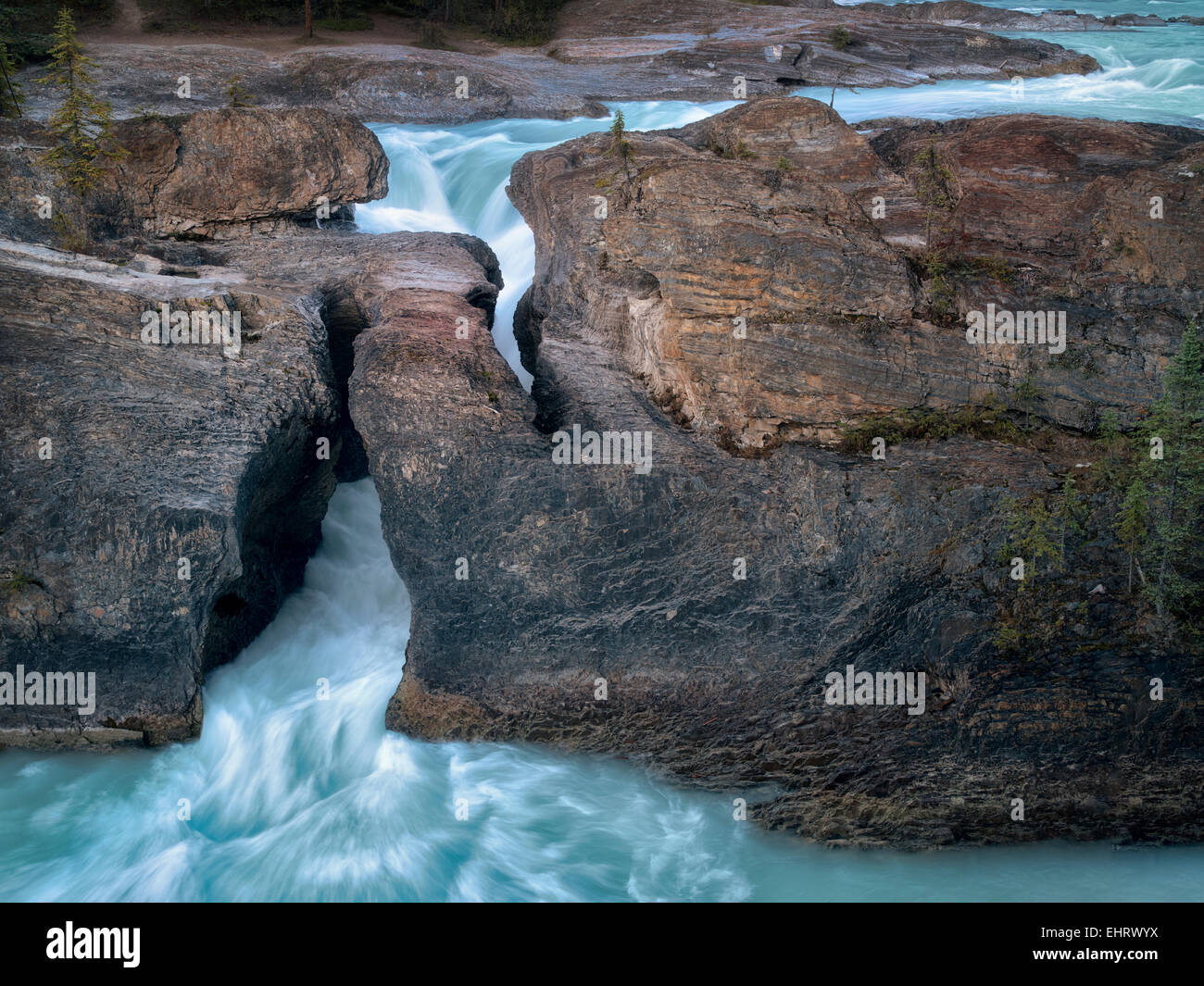 Fiume Kicking Horse e Ponte naturale cade nella British Columbia Canadian Rockies e il Parco Nazionale di Yoho. Foto Stock