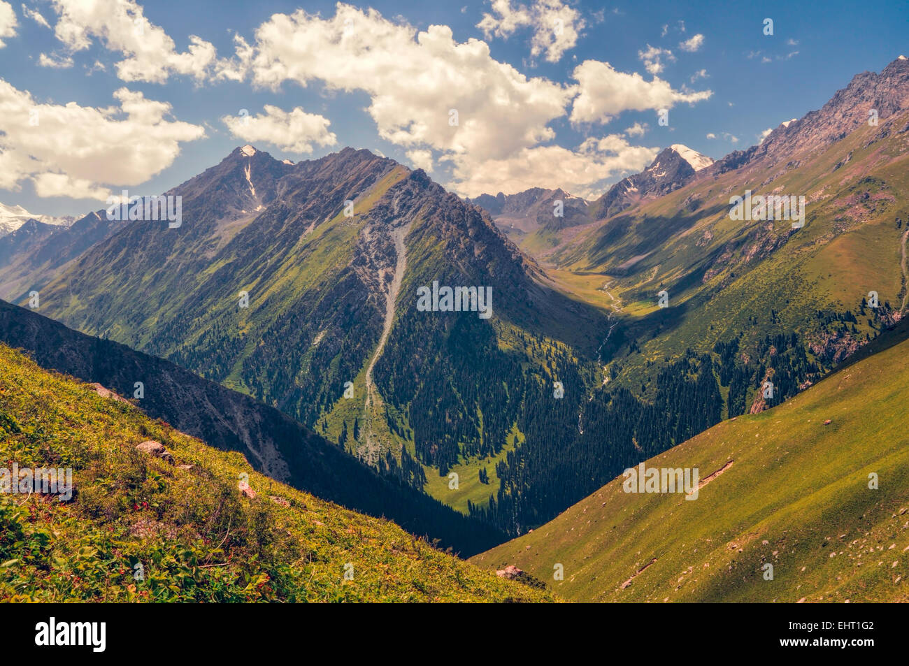 Una vista pittoresca del green canyon in Tien-Shan mountain range in Kirghizistan Foto Stock