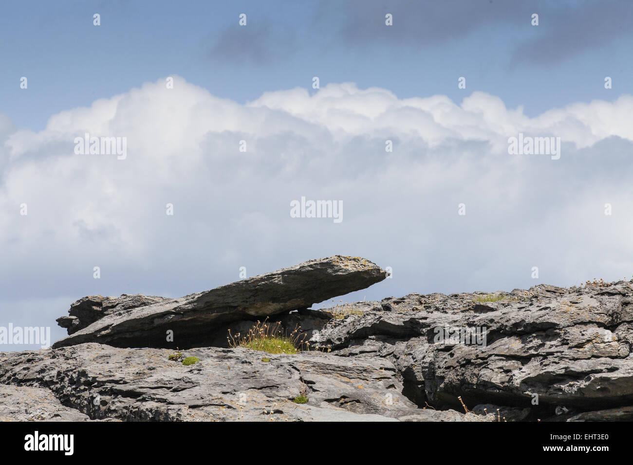 Il paesaggio costiero in Irlanda Foto Stock