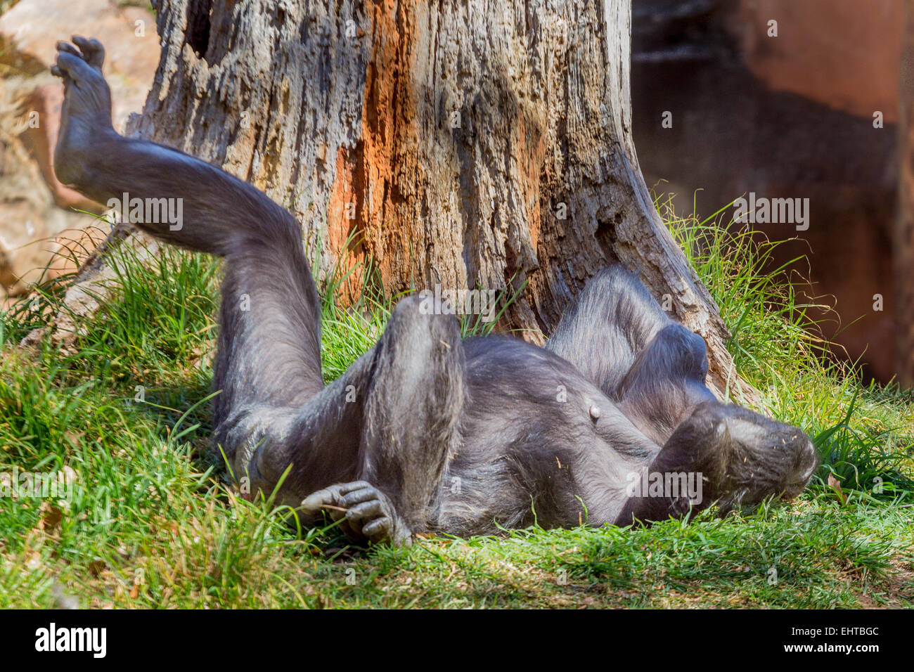 Rilassatevi, take it easy Foto Stock