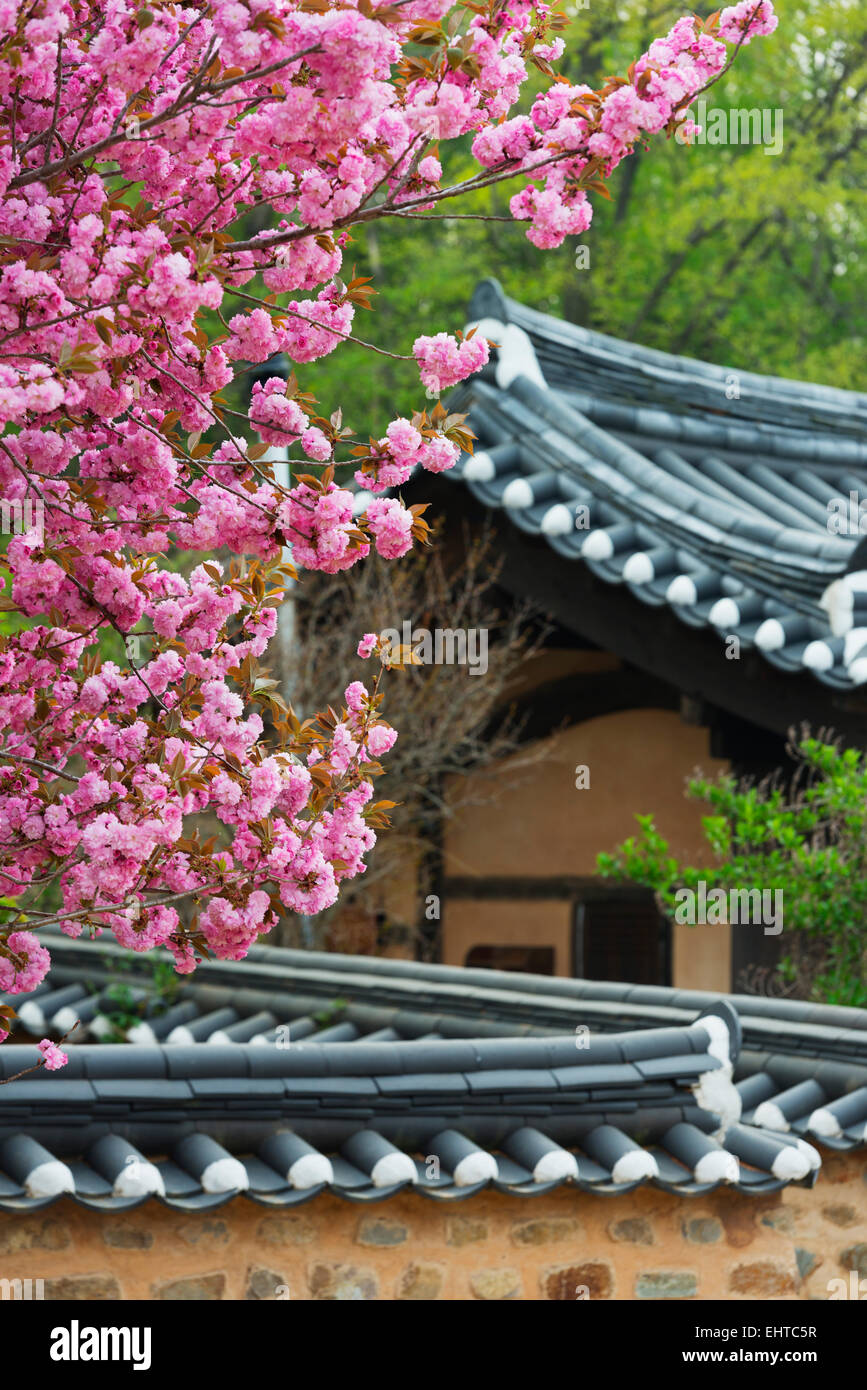 Asia, Repubblica di Corea, Corea del Sud, Gyeongsangbuk-do, Yangdong folk village, sito Unesco Foto Stock