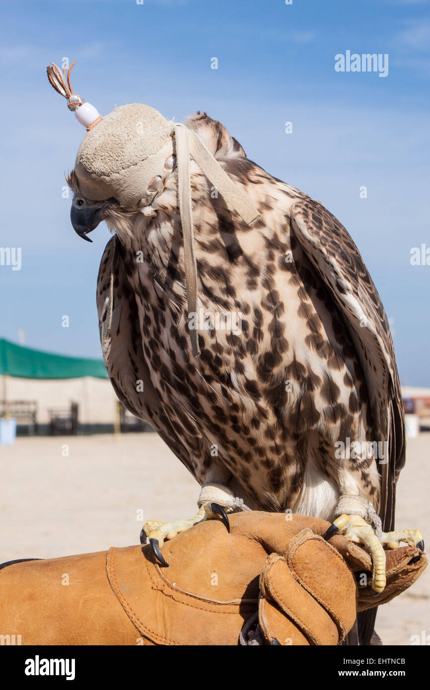 Illustrazione del Qatar, Golfo Persico, MEDIO ORIENTE Foto Stock