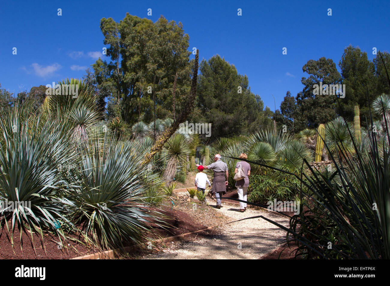 TROPICAL il giardino zoologico, La londe les maures, (83) VAR, PACA, Francia Foto Stock