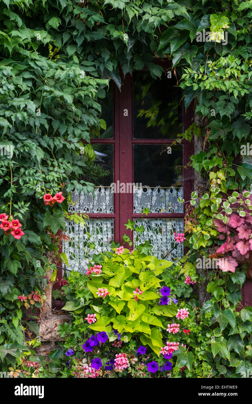 Finestra con fiori ed edera in Francia. Foto Stock