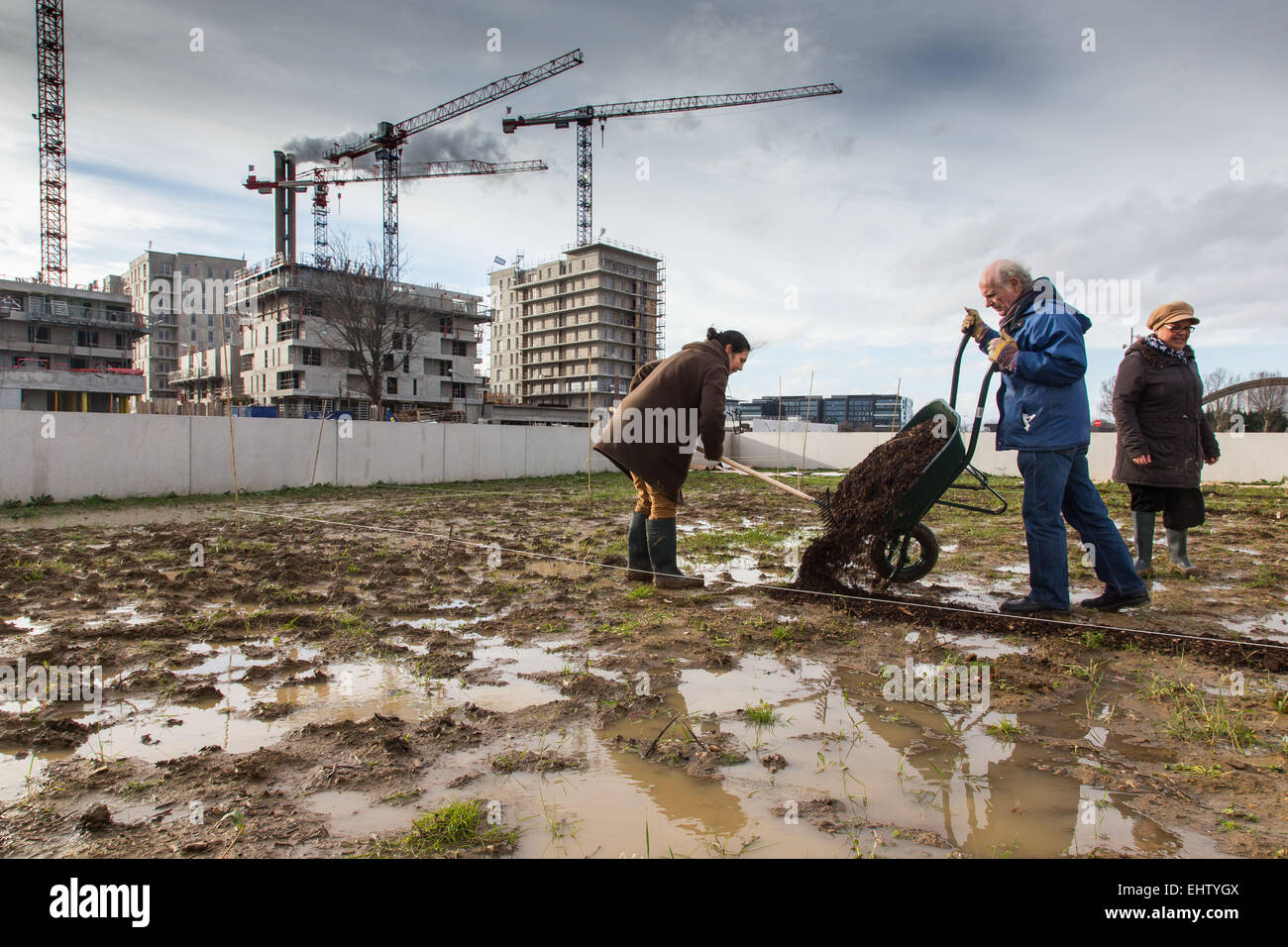 Agricoltura urbana Foto Stock