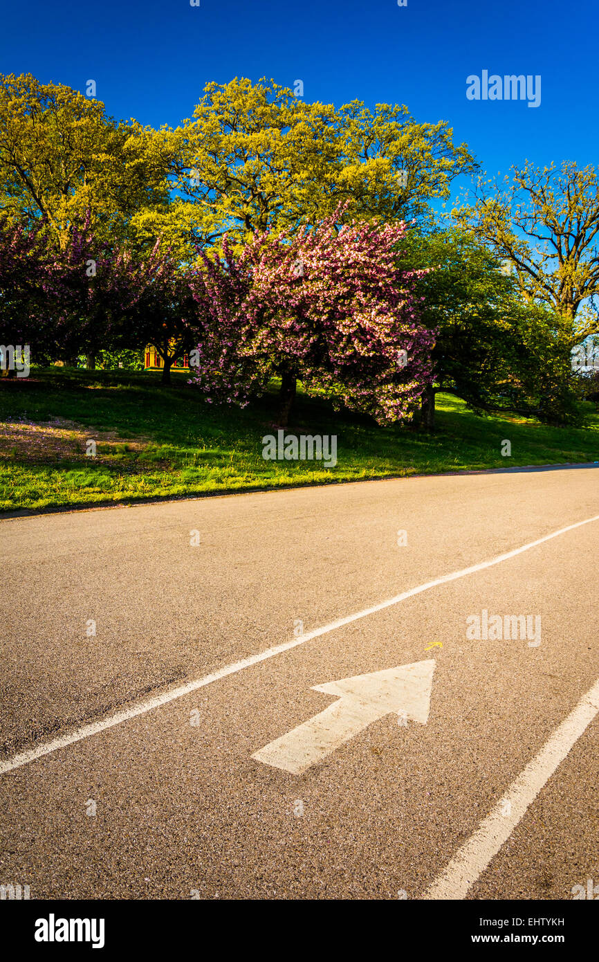 Viale lastricato e alberi colorati a Druid Hill Park a Baltimora, Maryland. Foto Stock