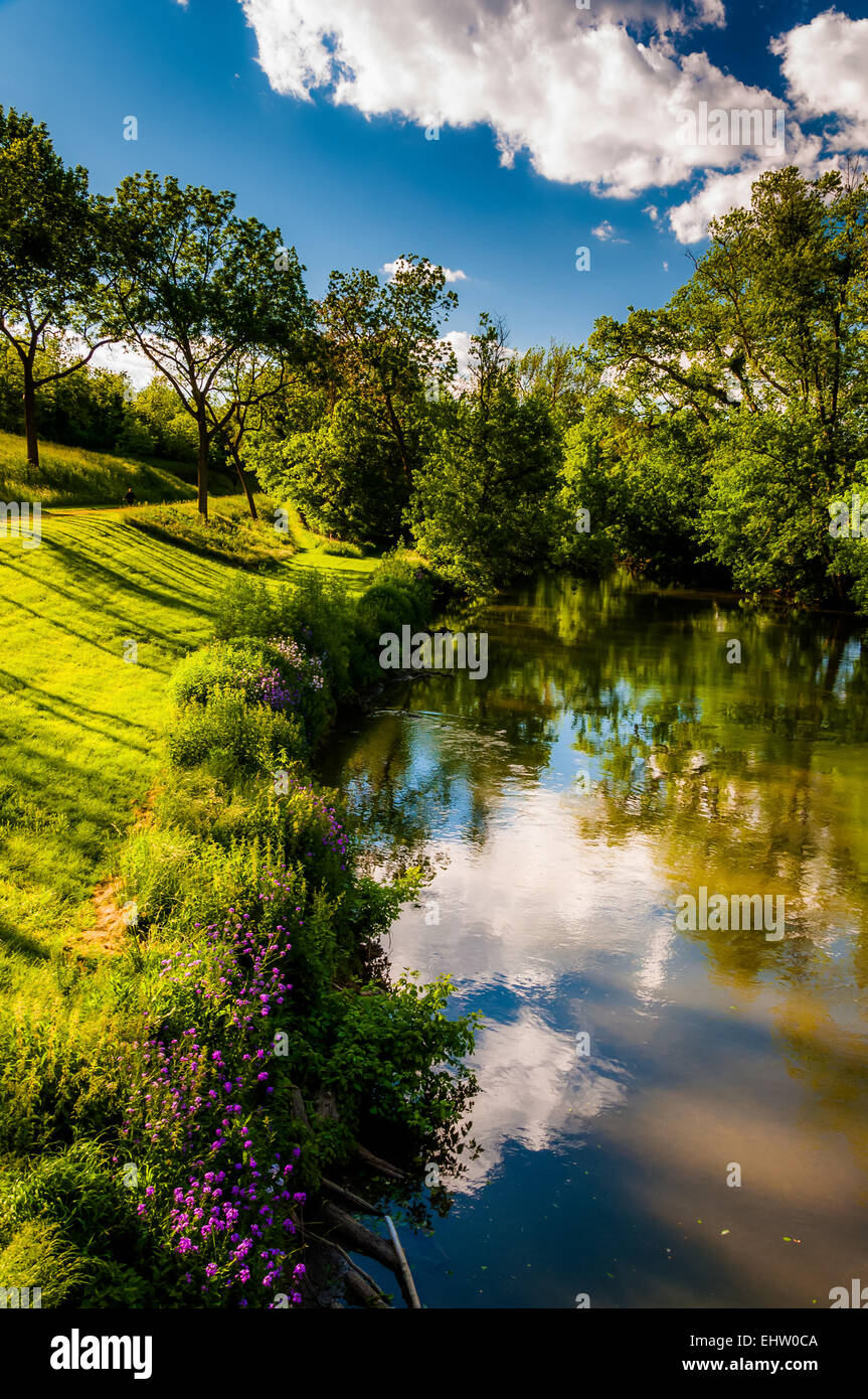 Riflessi di nuvole e alberi di Antietam Creek, a Antietam National Battlefield, Maryland (verticale). Foto Stock