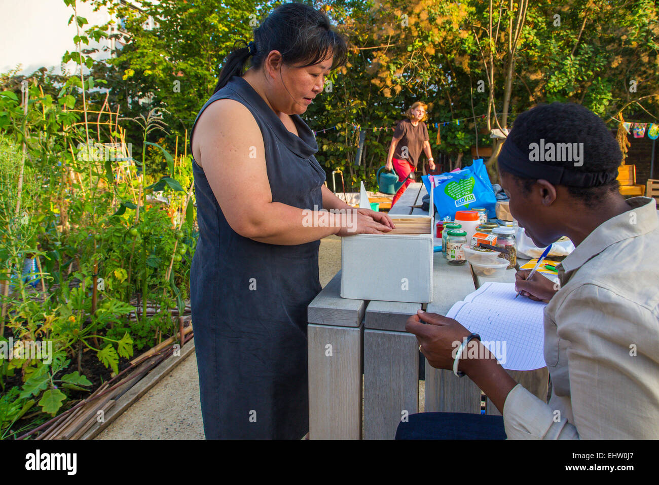 Agricoltura urbana, Courbevoie (92), HAUTS-DE-SEINE, Ile-de-France, Francia Foto Stock