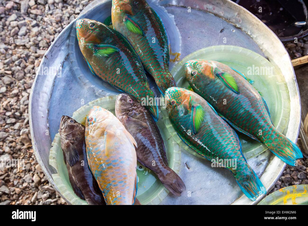 Scene di mercato in Thailandia, ASIA DU SUD-EST Foto Stock