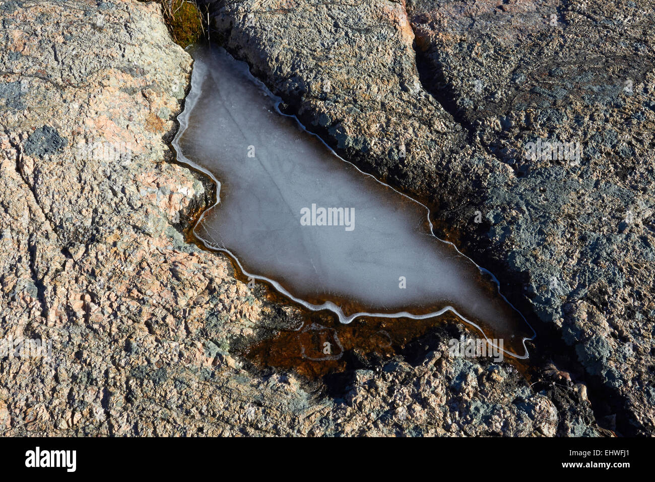 Congelati pozzanghera, Finlandia Foto Stock