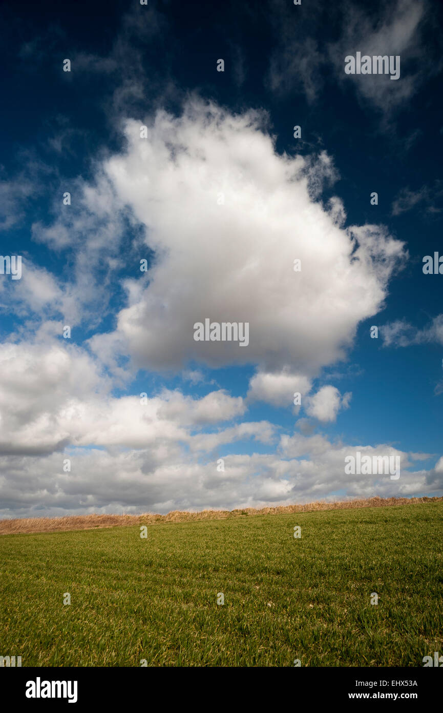 Drammatica nuvole sopra il South Downs, West Sussex, Regno Unito Foto Stock
