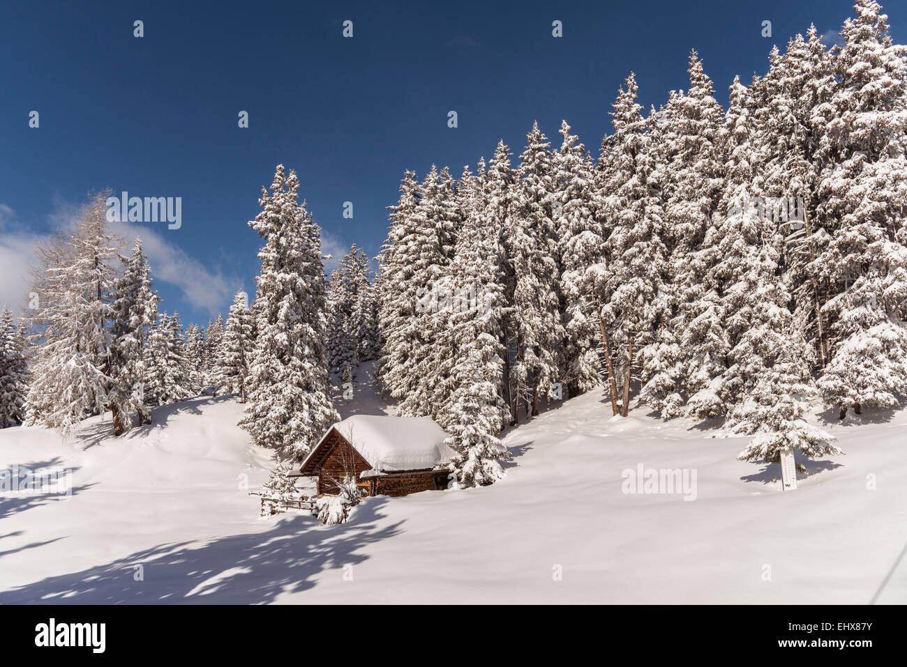 Capanna in inverno la foresta, Venet, Zams, Tirolo, Austria Foto Stock