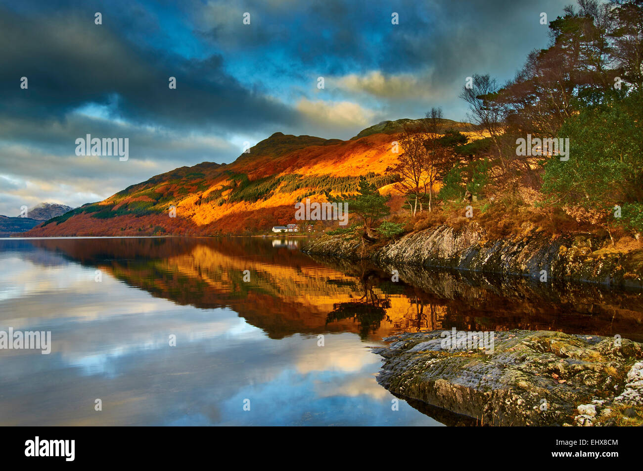 Guardando sopra Loch Lomond verso la base di Ben Lomond, preso dal bordo del Loch a Rowardennan Foto Stock
