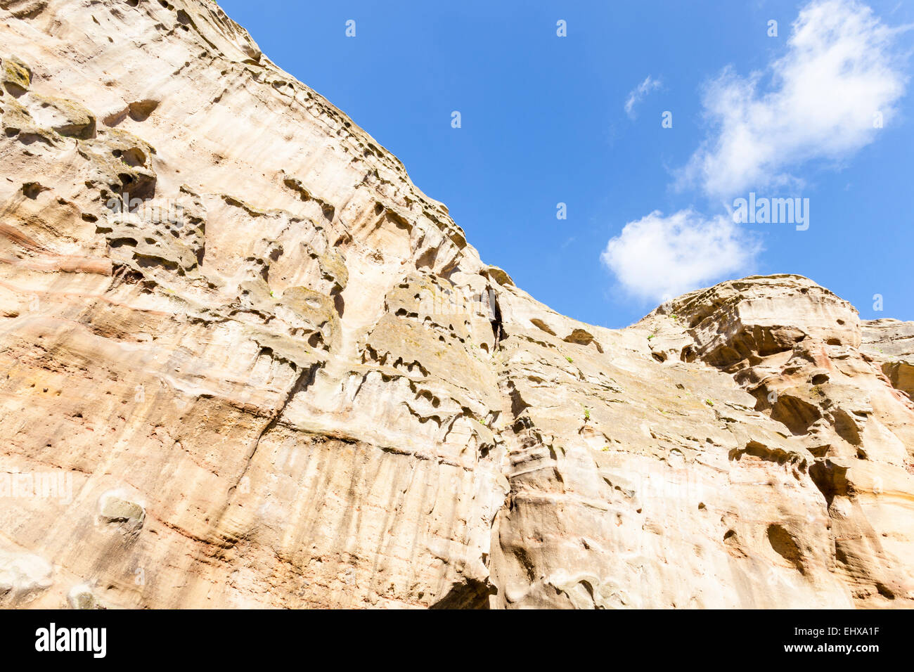 Roccia Arenaria faccia. Dettaglio di un bunter scogliera di arenaria sul bordo meridionale del castello di roccia, Nottingham, Inghilterra, Regno Unito Foto Stock