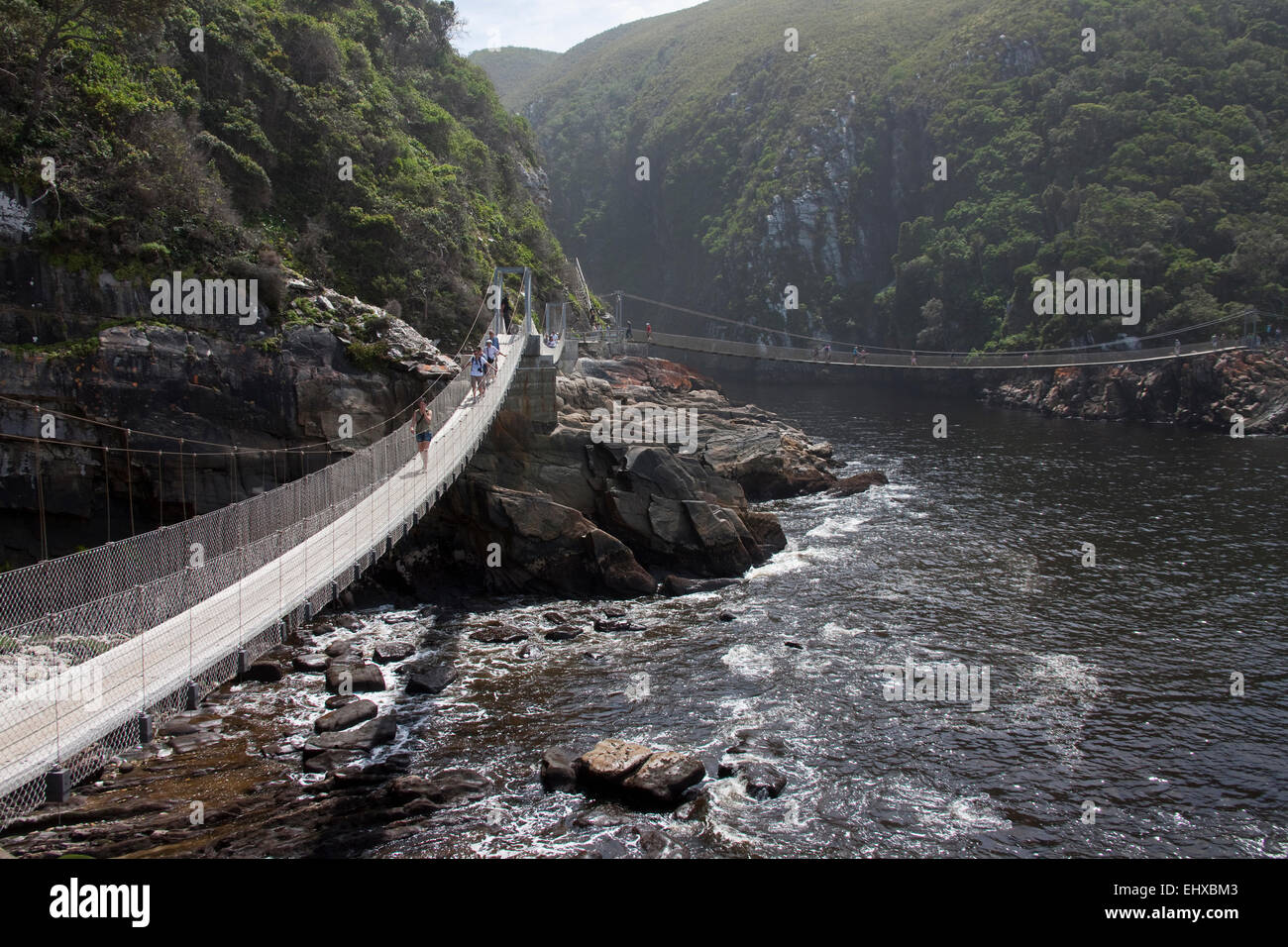 Ponti di sospensione sopra la bocca del fiume di tempeste, Tsitsikamma National Park, Sud Africa Foto Stock