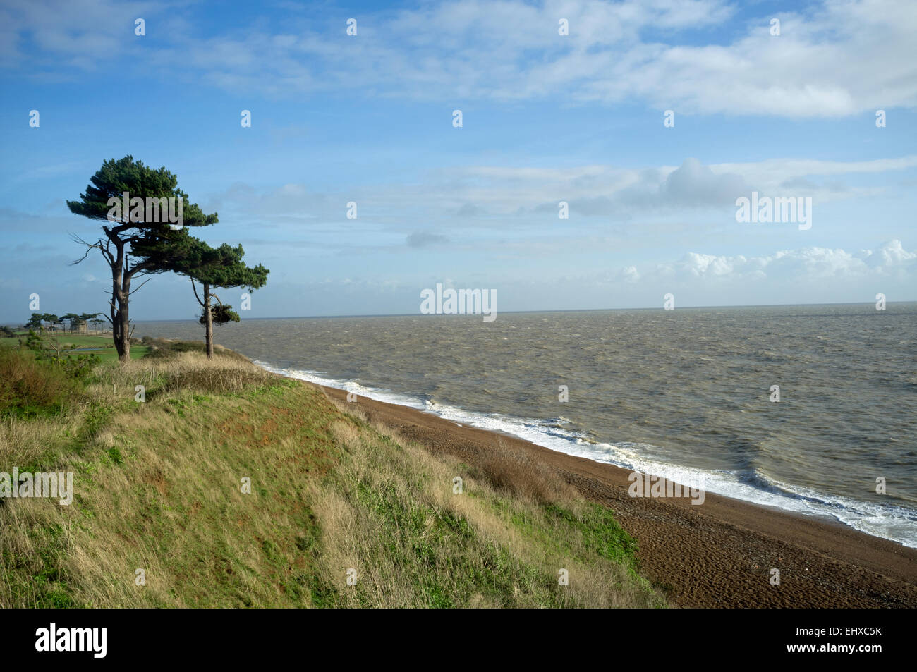 East Suffolk costa, conosciuto localmente come 'Landmark', Bawdsey, Suffolk, Regno Unito. Foto Stock