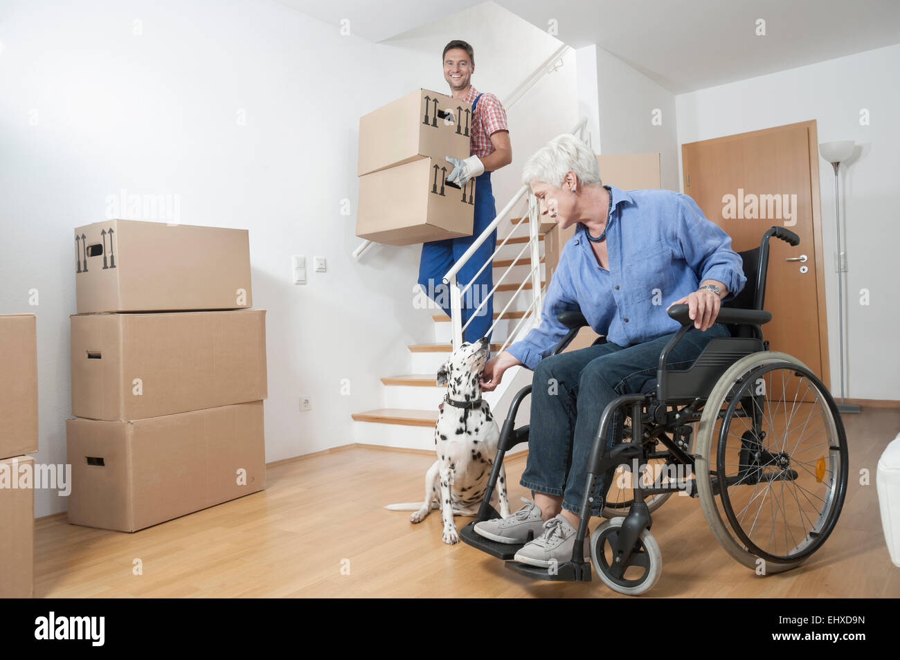 Portatori di handicap vecchia donna stroking cane mentre movers passeggiando per le scatole di cartone, Baviera, Germania Foto Stock