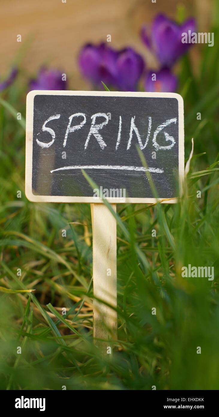 La molla scritto su una lavagna in giardino tra fiori ed erba Foto Stock