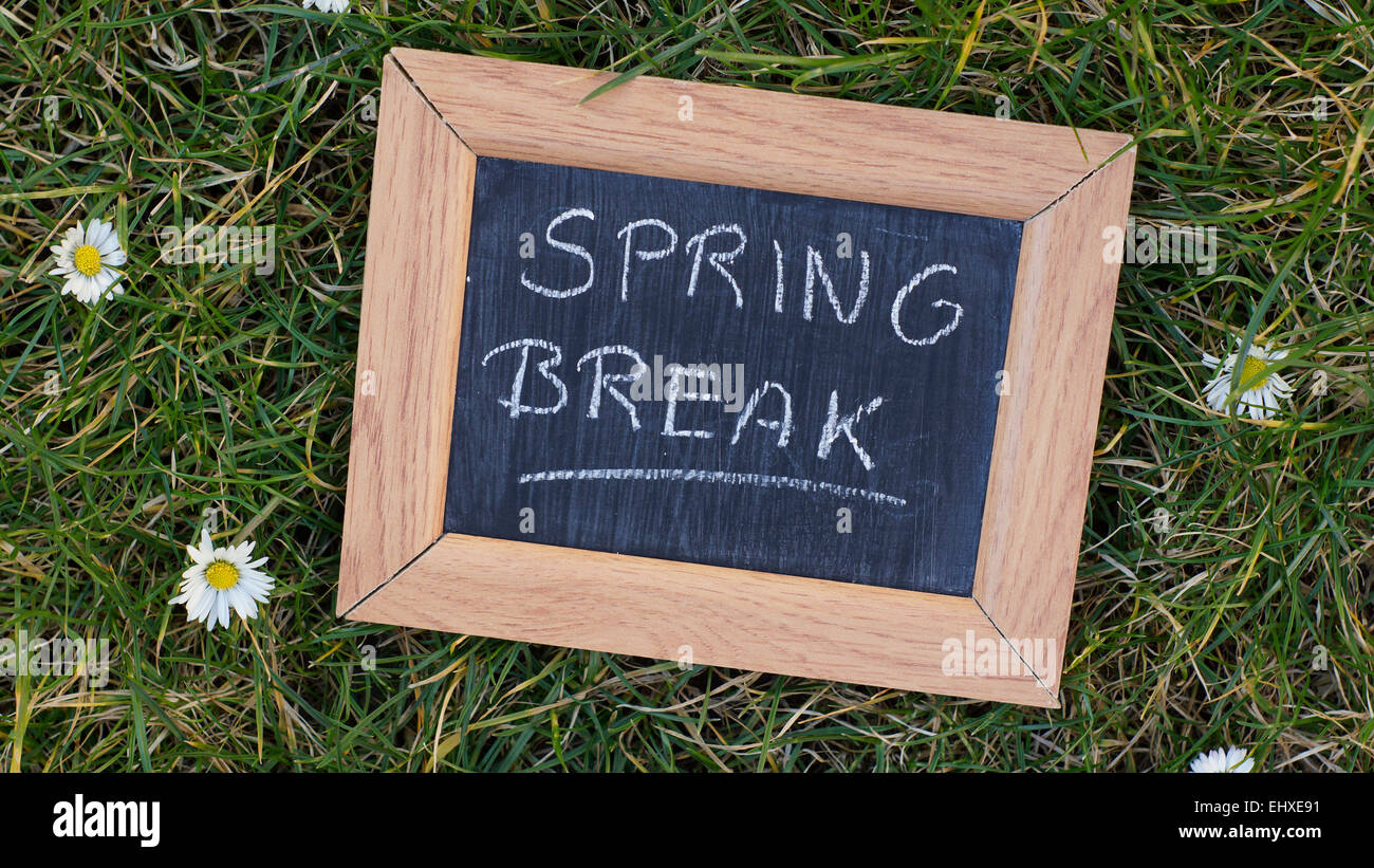 Spring Break scritto su una lavagna in un parco tra erba e fiori Foto Stock