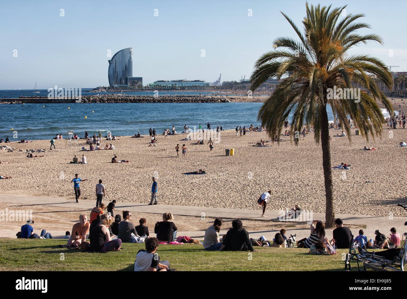 Le persone a rilassarsi sulla spiaggia di Barceloneta a Barcellona, in Catalogna, Spagna. Foto Stock