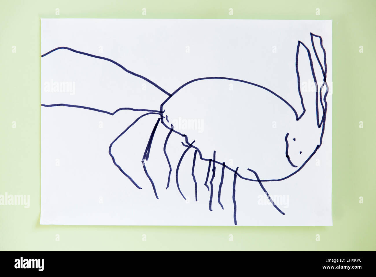 Bambino del disegno di coniglio Foto Stock