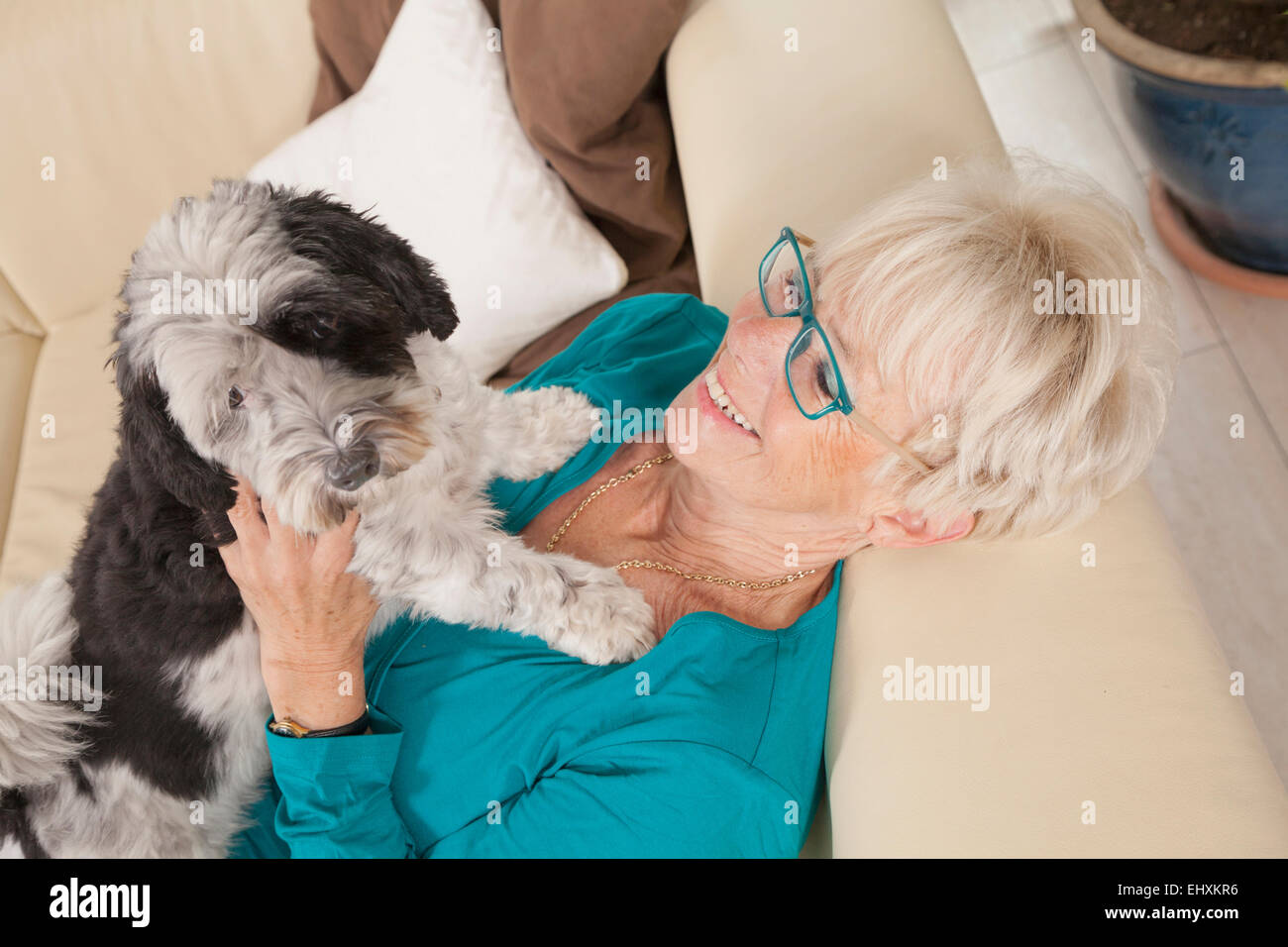 Senior donna che gioca con il suo cane, Baviera, Germania Foto Stock