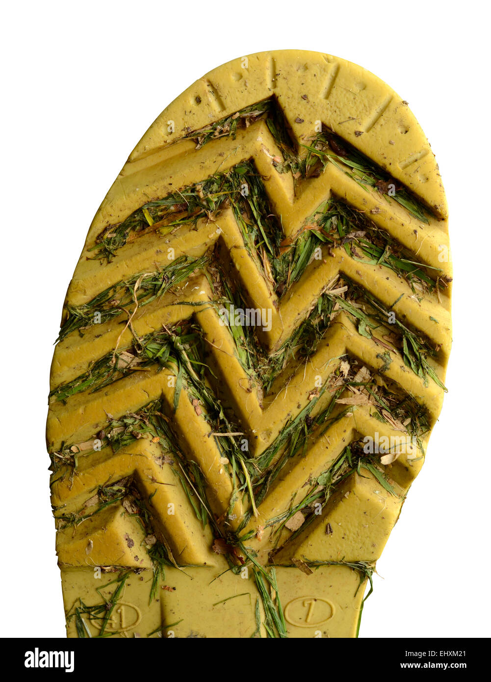 Suola isolata di una sporca il soffietto in gomma con erba tagliata Foto Stock