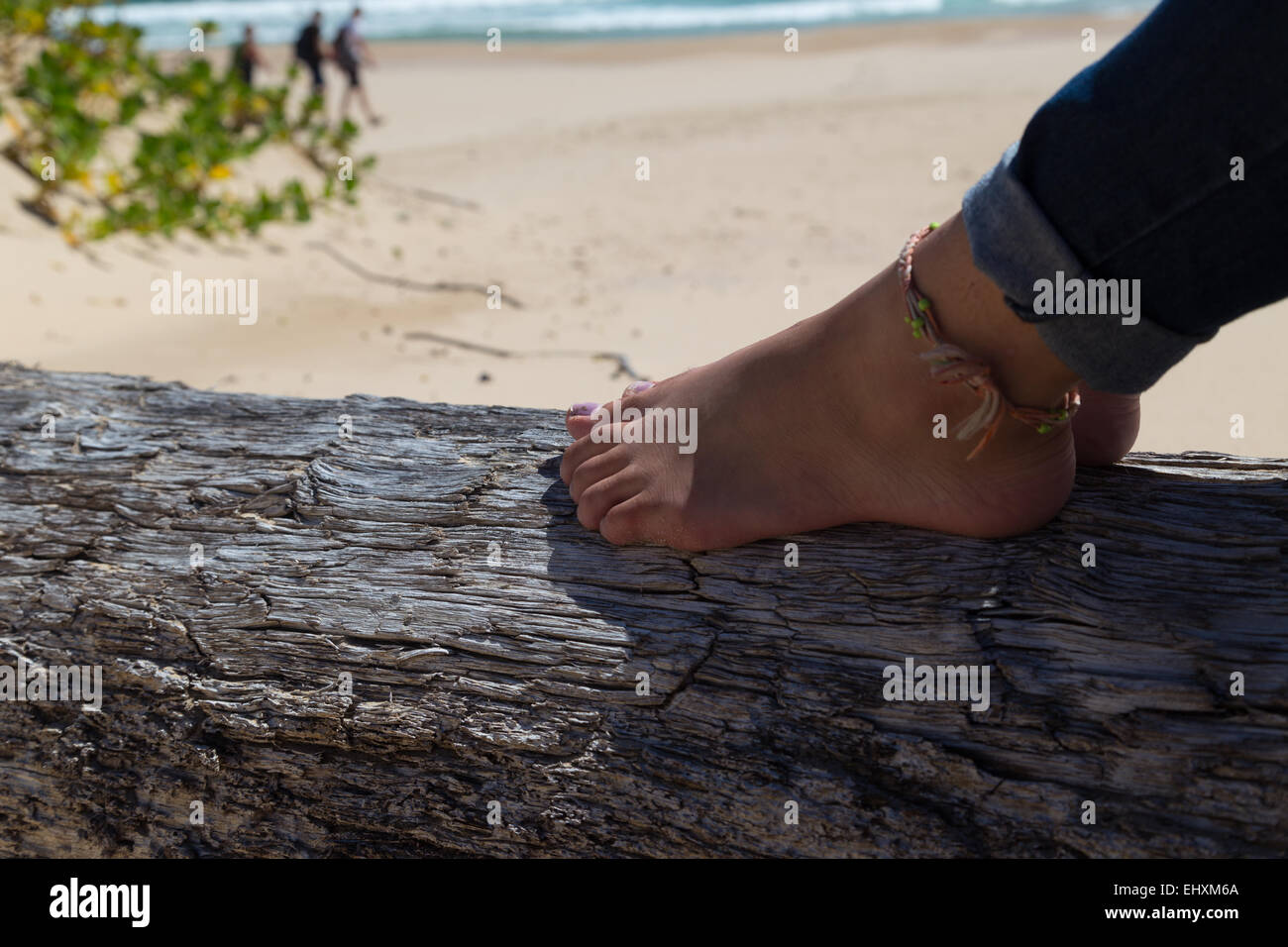 Una signora appoggia i suoi piedi su una weatherbeaten tronco di albero sulla bellissima spiaggia di Robberg Peninsula, Sud Africa Foto Stock