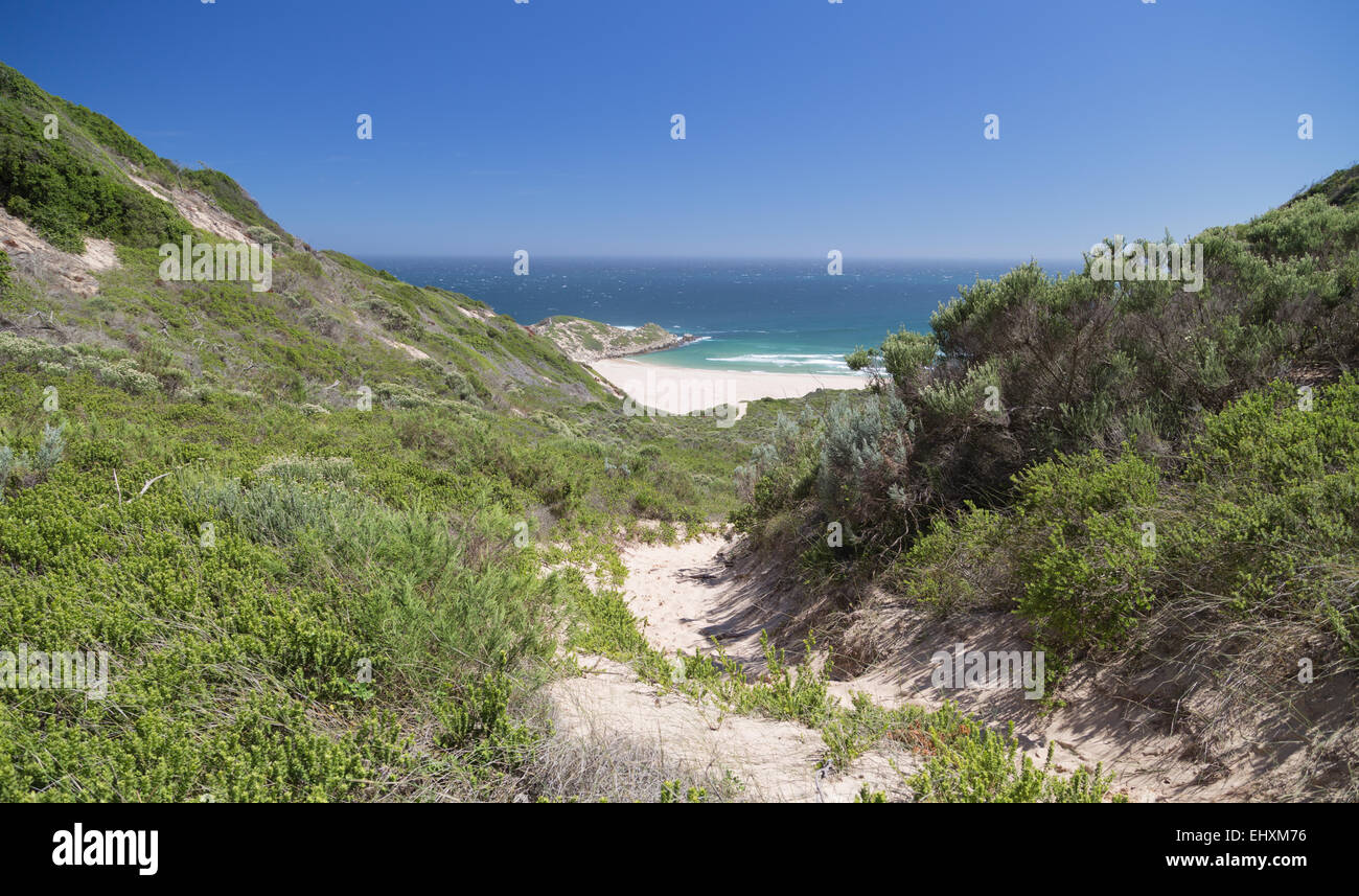 Un sentiero di sabbia i serpenti in basso verso una spiaggia deserta di Robberg riserva naturale vicino Plettenburg. Foto Stock