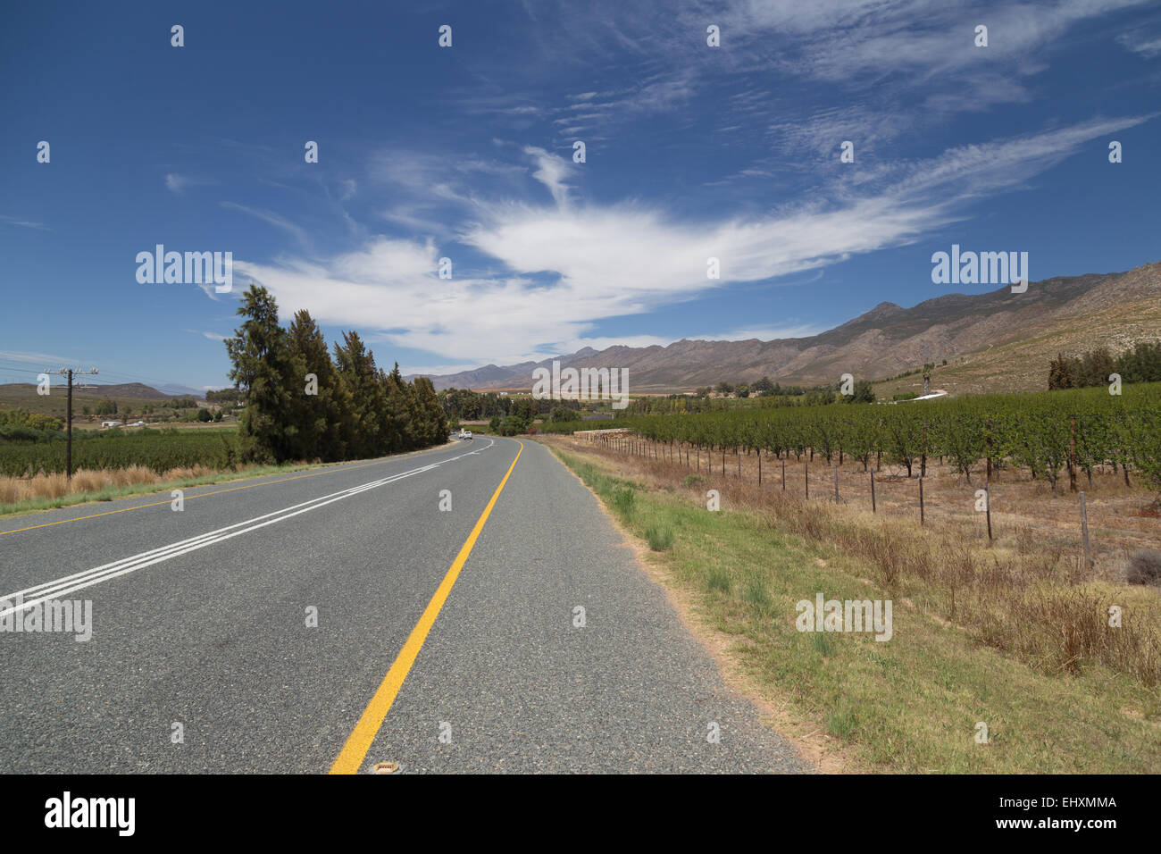 La bella via 62 auto da Oudtshoorn nella Western Cape del Sud Africa passando attraverso i vigneti e le gamme della montagna. Foto Stock