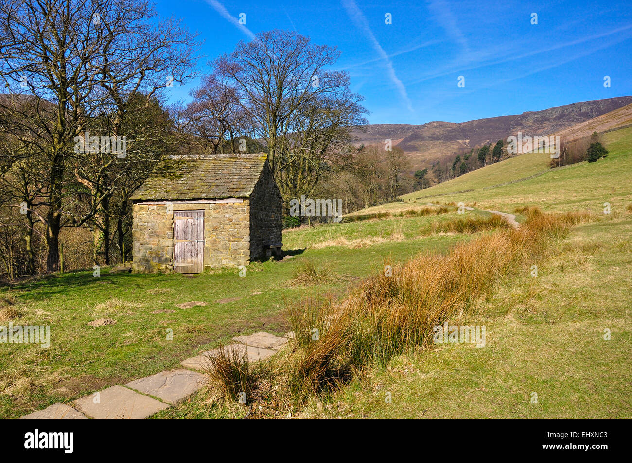 Grindsbrook Clough vicino a Edale nel Peak District, Derbyshire. Una soleggiata mattina di primavera con il sentiero lastricato che conduce alle colline. Foto Stock