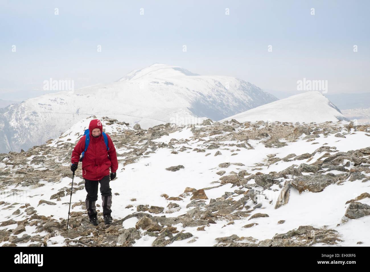 Escursionista maschio in giacca rossa escursioni nella neve sulle rocky Y Garn montagna nel Parco Nazionale di Snowdonia (Eryri). Ogwen, il Galles del Nord, Regno Unito, Gran Bretagna Foto Stock
