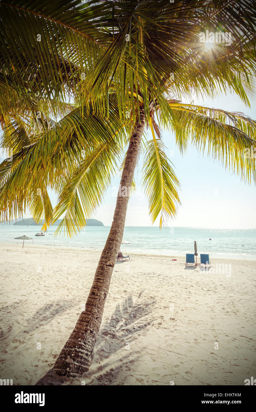 Retrò stilizzata Paradise beach, estate cartolina. Foto Stock
