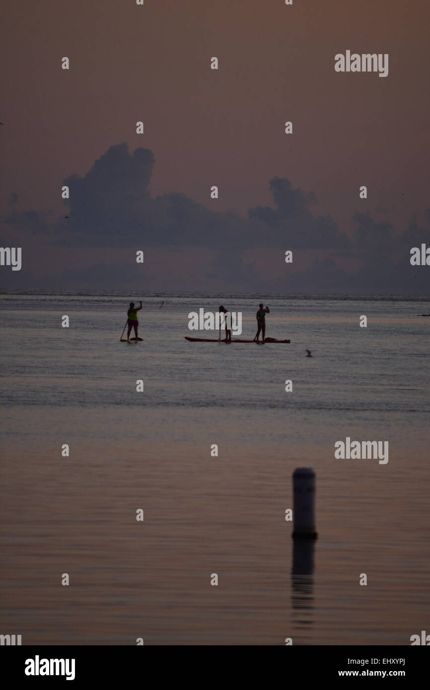 Paddleboarders al tramonto. Foto Stock