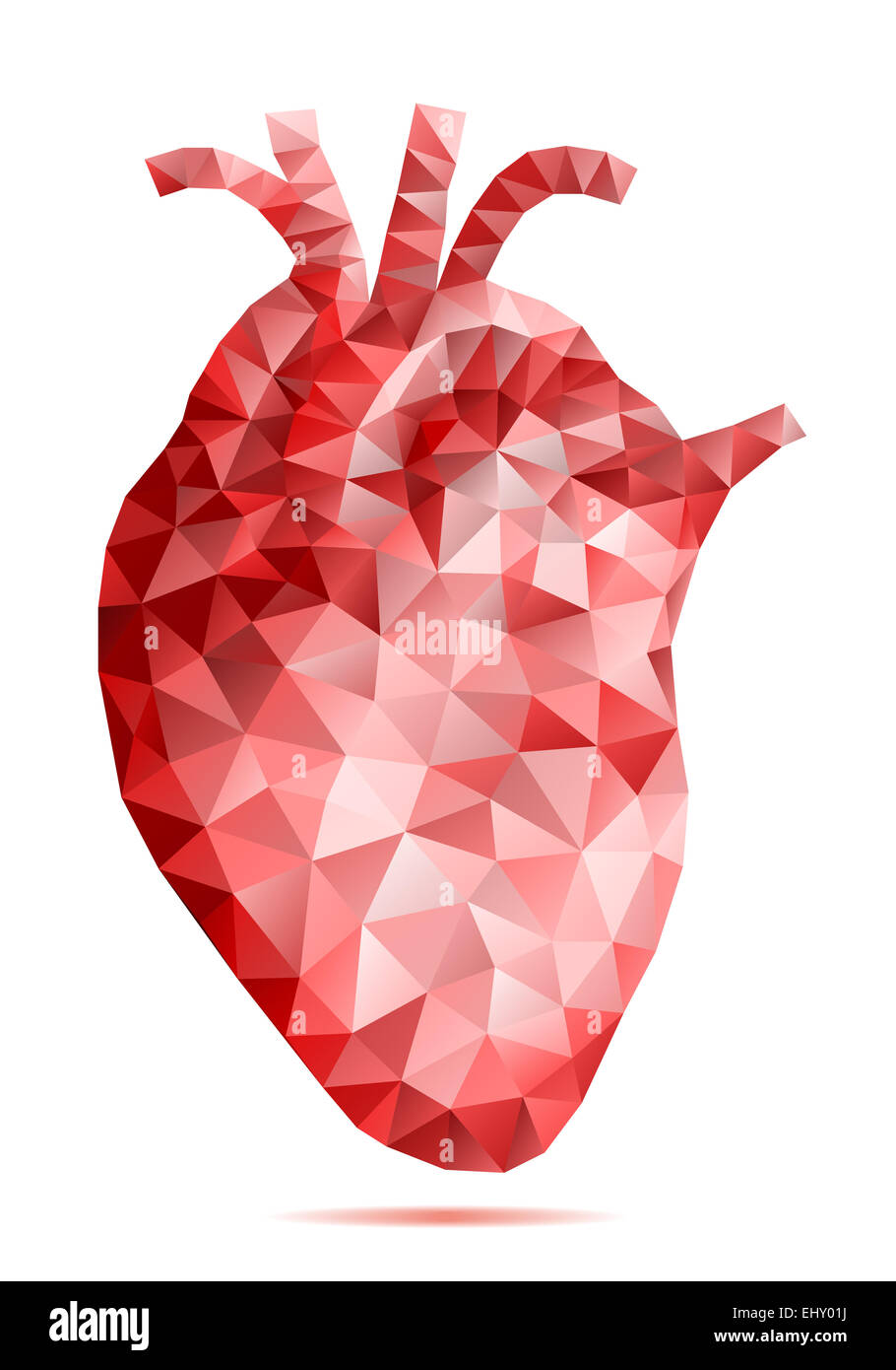 Abstract bassa poli cuore umano con disegno geometrico, vettore Foto Stock
