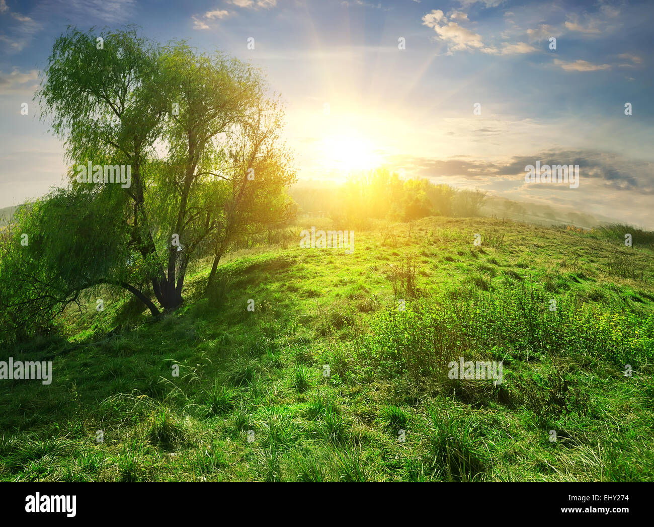 Sole brillante oltre la collina con erba verde Foto Stock