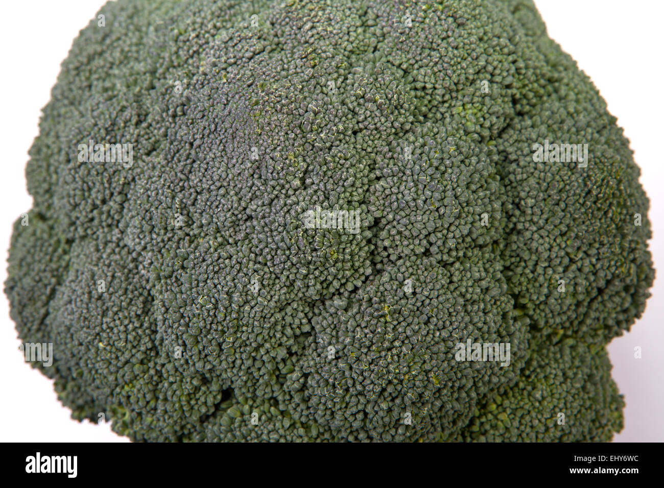 Impianto di broccoli closeup. Isolato su sfondo bianco Foto Stock